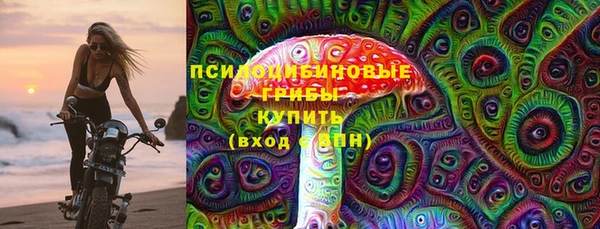 ешки Алзамай