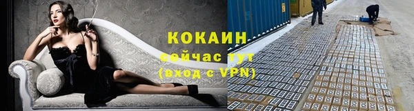СК Нефтегорск