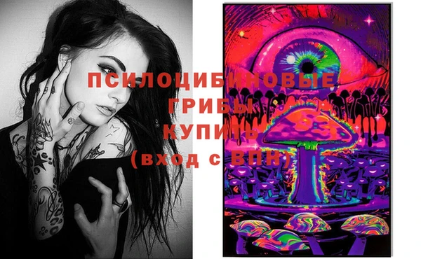 spice Алексеевка